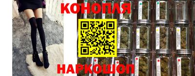 Альфа ПВП Пушкино