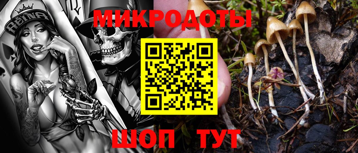 Галлюциногенные грибы GOLDEN TEACHER  Вход с VPN  Ачинск 